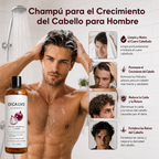 Excalvo  Crecimiento y Fortaleza